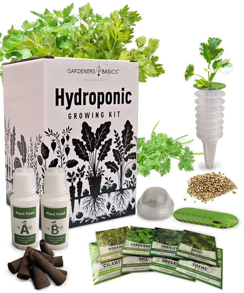 8 Herb Hydroponic Grow Kit – Fresh Basil, Cilantro, Rosemary & More Without Soil