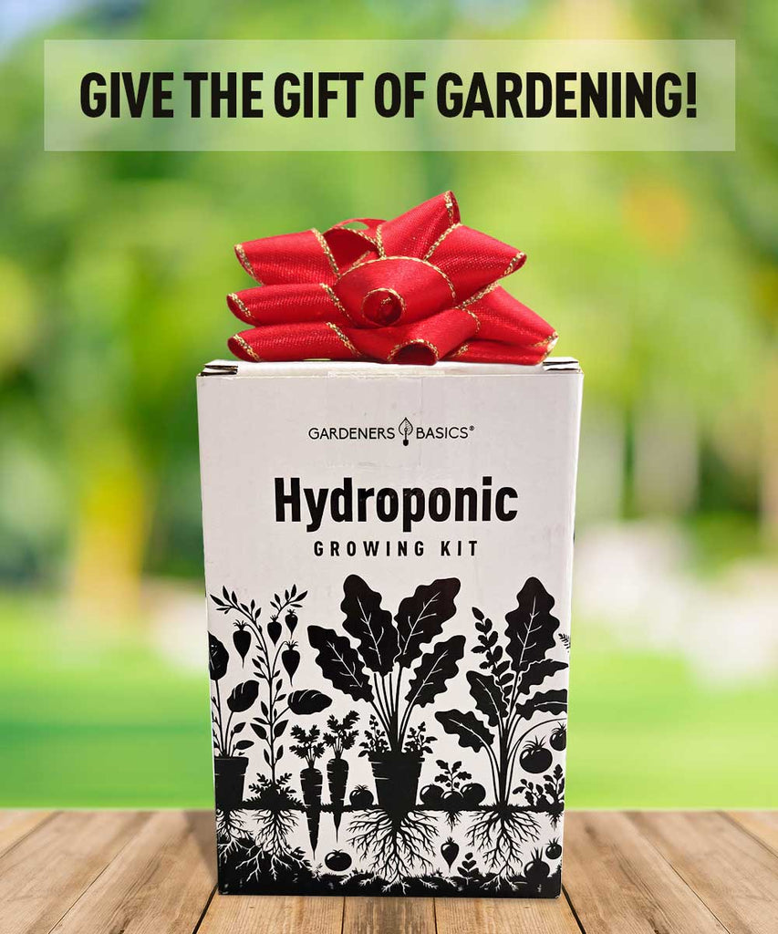 Hydroponic Lettuce Growing Kit - Includes 5 Heirloom Non-GMO Seeds, Nutrients, Baskets & Sponges for Indoor Gardening