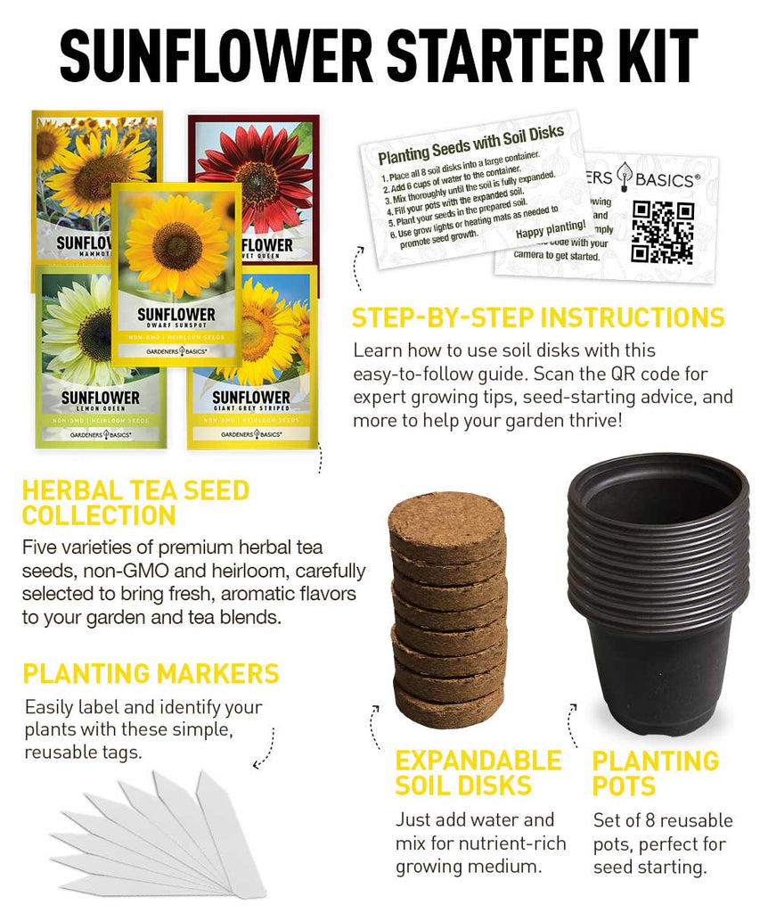 Sunflower Growing Kit – Non-GMO Giant, Lemon Queen, Skyscraper & More