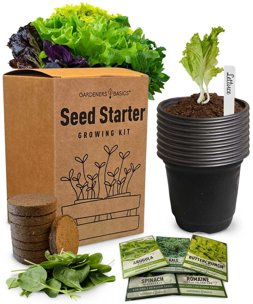 5 Lettuce & Leafy Greens Seed Starter Kit - Heirloom, Non-GMO | Grow Romaine, Kale, Spinach, Arugula & Buttercrunch