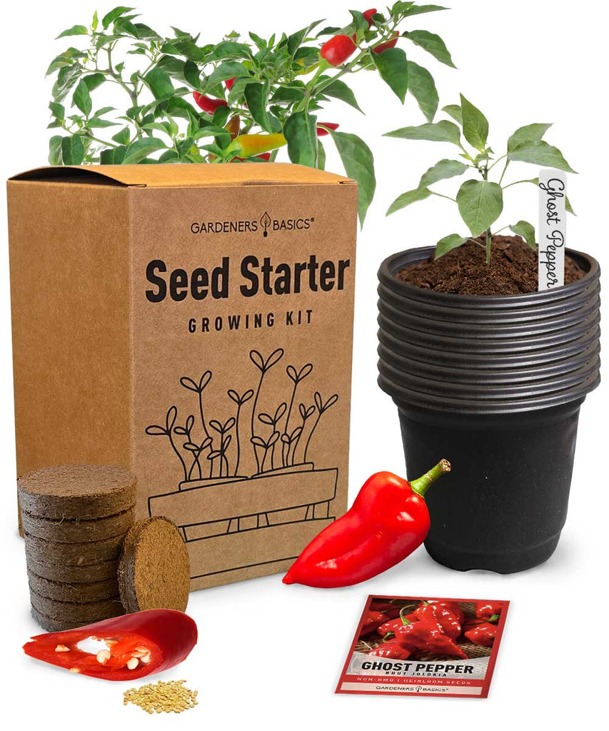 Ghost Pepper Seed Starter Kit – Grow Super Hot Bhut Jolokia Peppers at Home