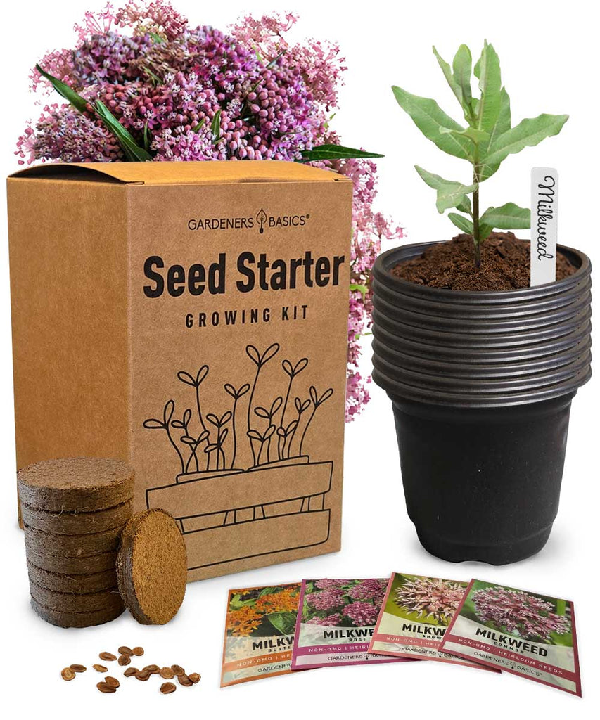 4 Milkweed Seed Starter Kit – Grow Butterfly-Friendly Native Wildflowers