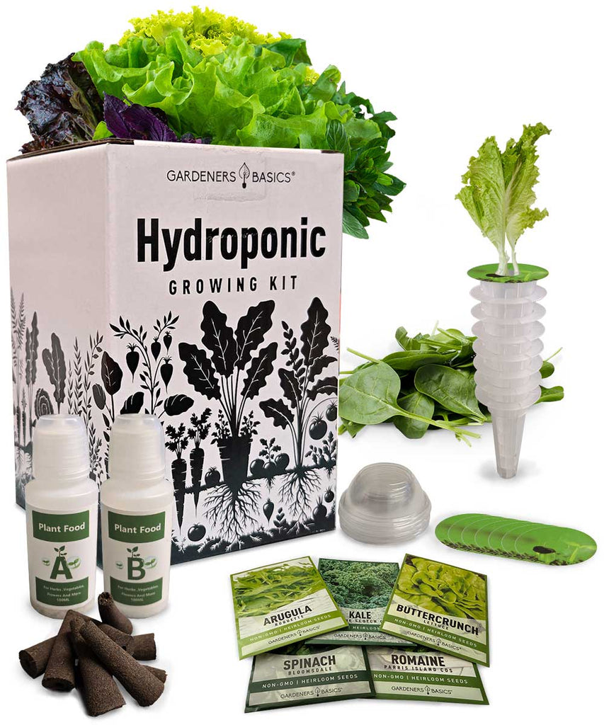 5 Lettuce Hydroponic Growing Kit - Heirloom, Non-GMO Seeds | Indoor Gardening with Baskets, Sponges, Domes & Nutrients