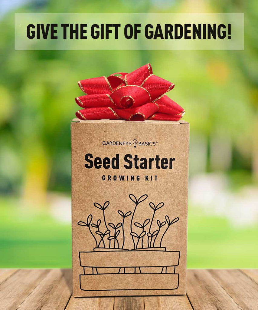 Hot Pepper Growing Kit – Non-GMO Heirloom Ghost & Habanero Seeds