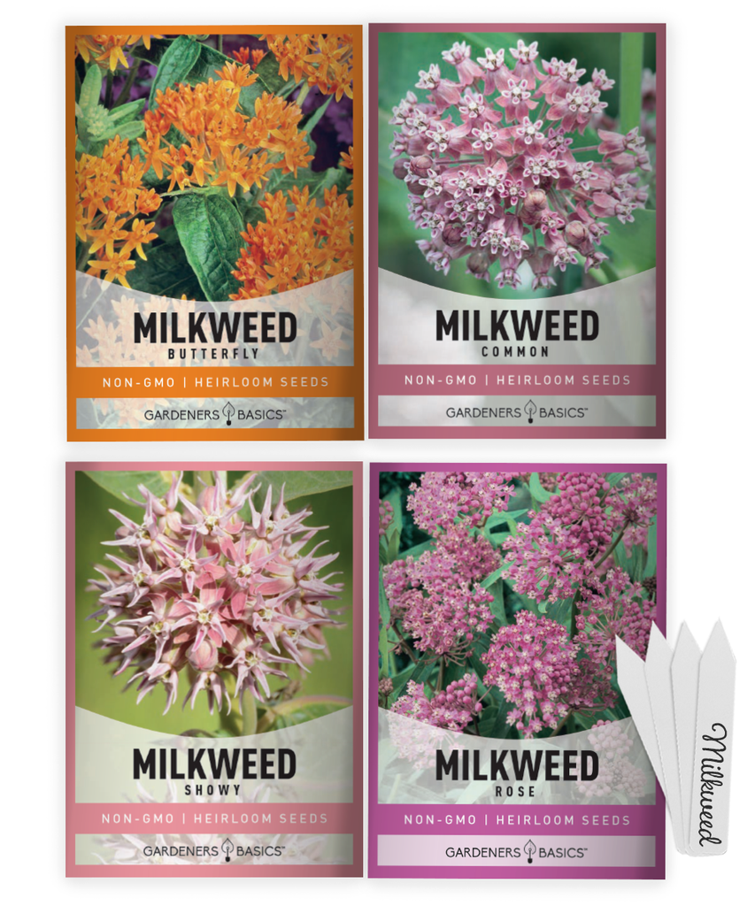 4 Milkweed Seed Kit – Native Wildflower Seeds for Pollinators & Habitat Restoration