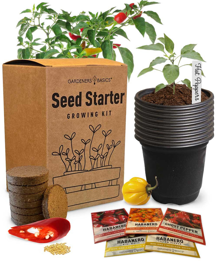 Ghost Pepper & Habanero Seed Kit – Ultimate Spicy Pepper Growing Kit