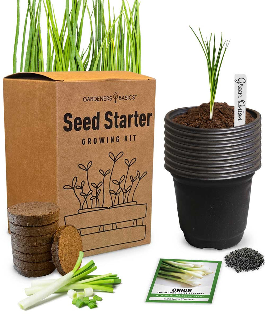 Green Onion Starter Kit – Non-GMO Seeds, Pots, Soil, & Growing Guide