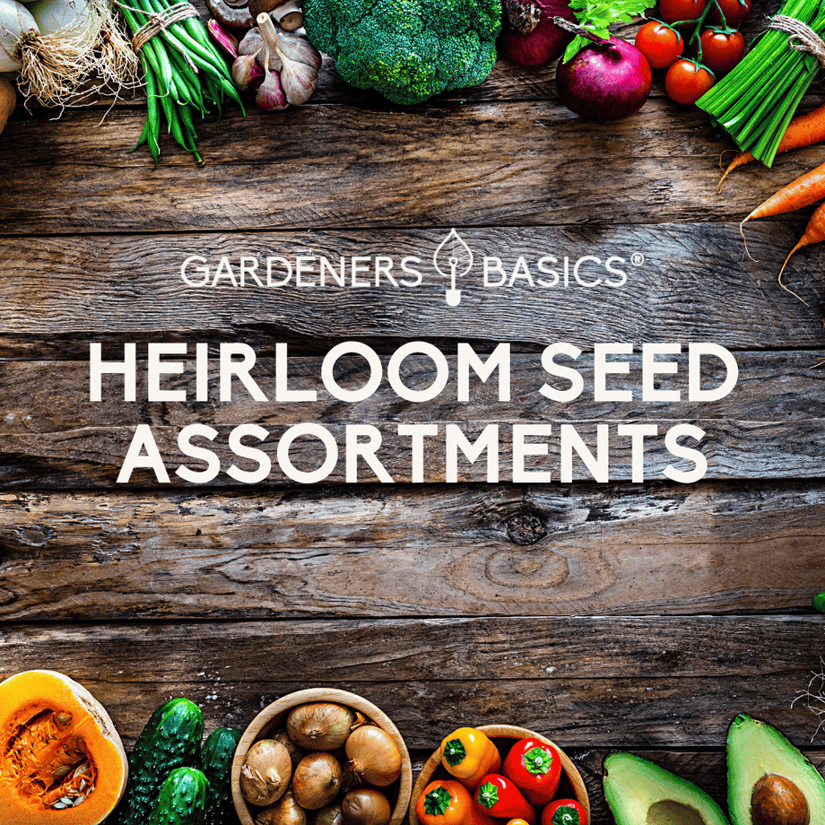 Heirloom Seed Sources