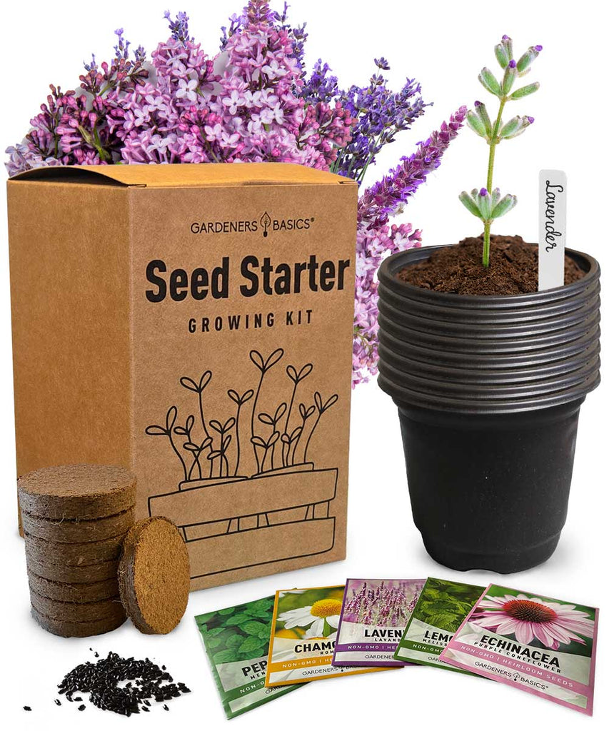 5 Herbal Tea Seed Starter Kit – Grow Chamomile, Peppermint, Lavender & More at Home