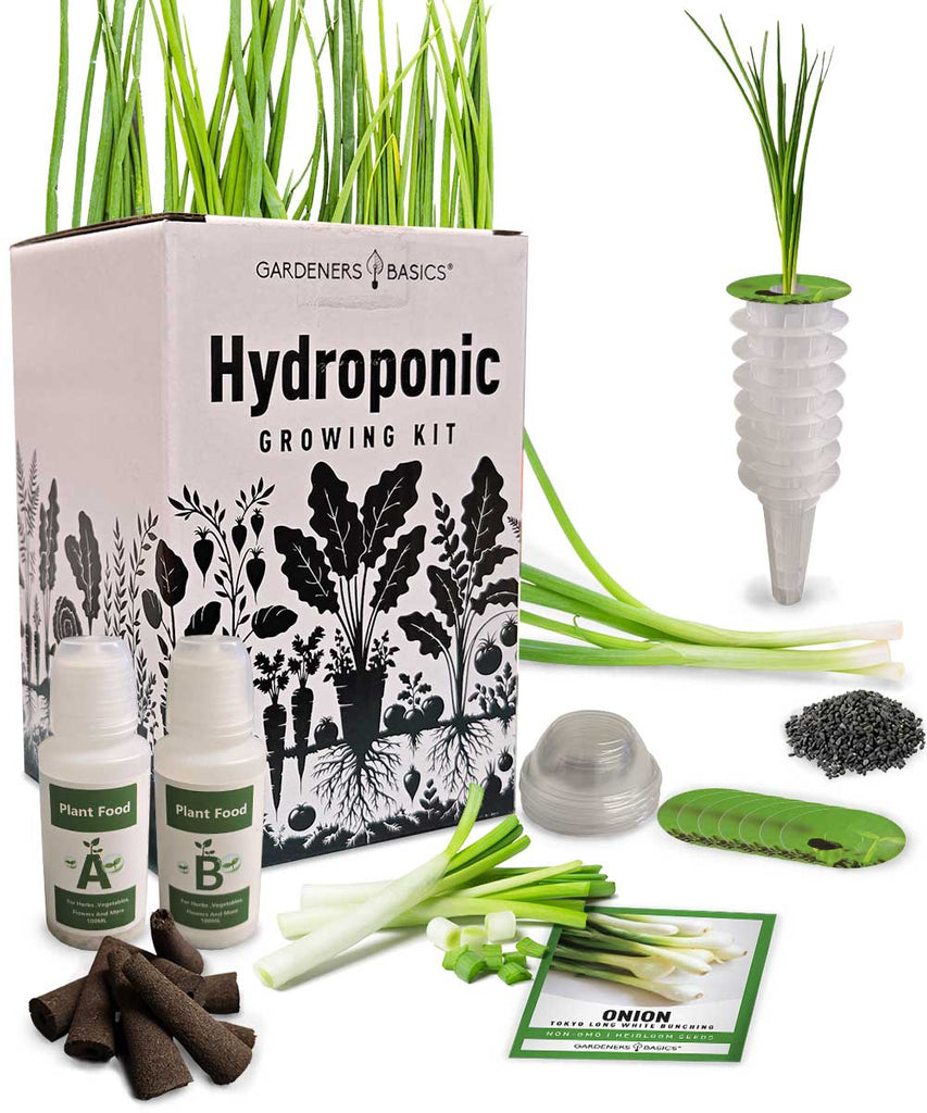 Green Onion Hydroponic Grow Kit – Easy Indoor Scallion Gardening with Non-GMO Seeds