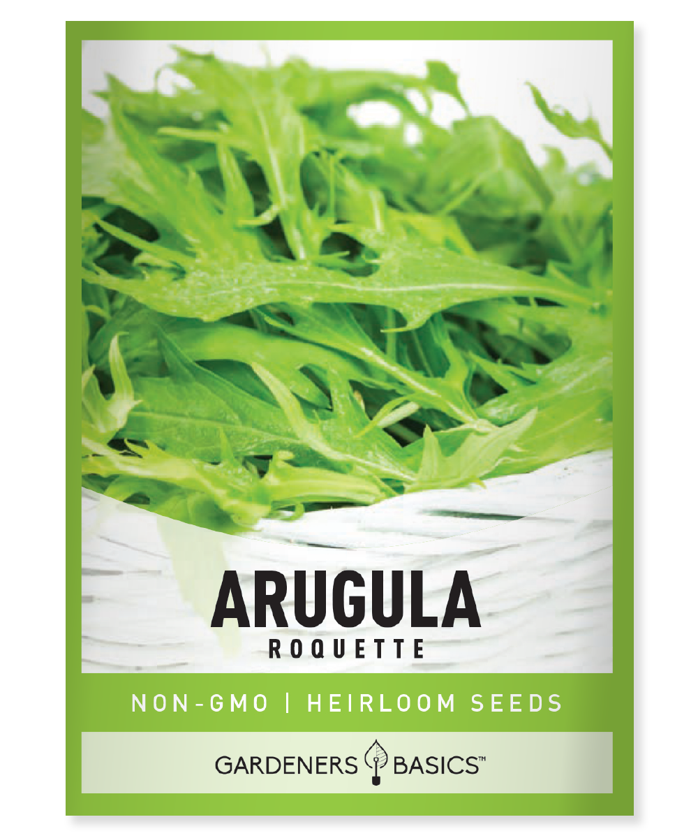 Arugula Roquette Heirloom Seeds Open Pollinated Non-GMO 