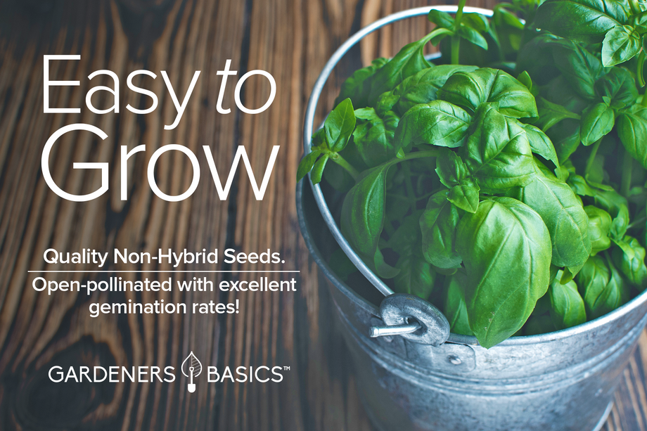 Genovese Basil Seeds Gardeners Basics