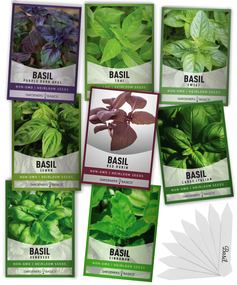 Assorted Gourmet Basil Seed Varieties 8 Variety Pack Gardeners