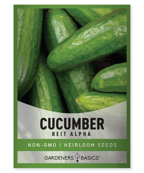 Guide To Different Types Of Cucumbers