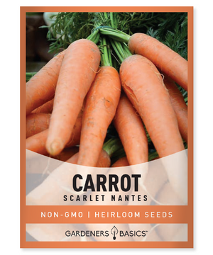 Scarlet Nantes Carrot Seeds