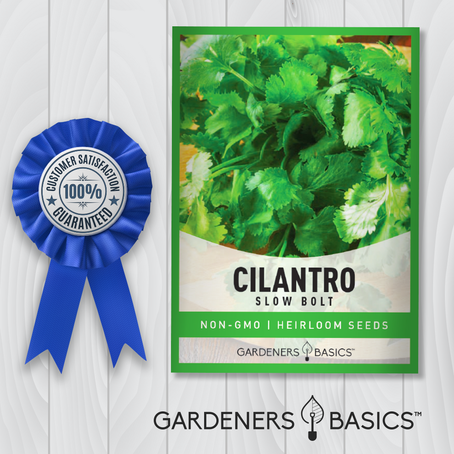 https://www.gardenersbasics.com/cdn/shop/products/Certified-CilantroSlowBolt-04072021_1_460x@2x.png?v=1682388629