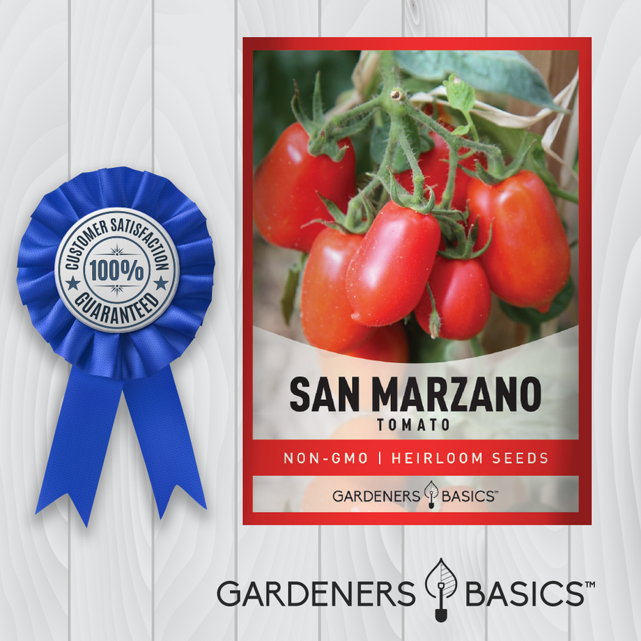 https://www.gardenersbasics.com/cdn/shop/products/Certified-TomatoSanMarzano_1_460x@2x.png?v=1681654452