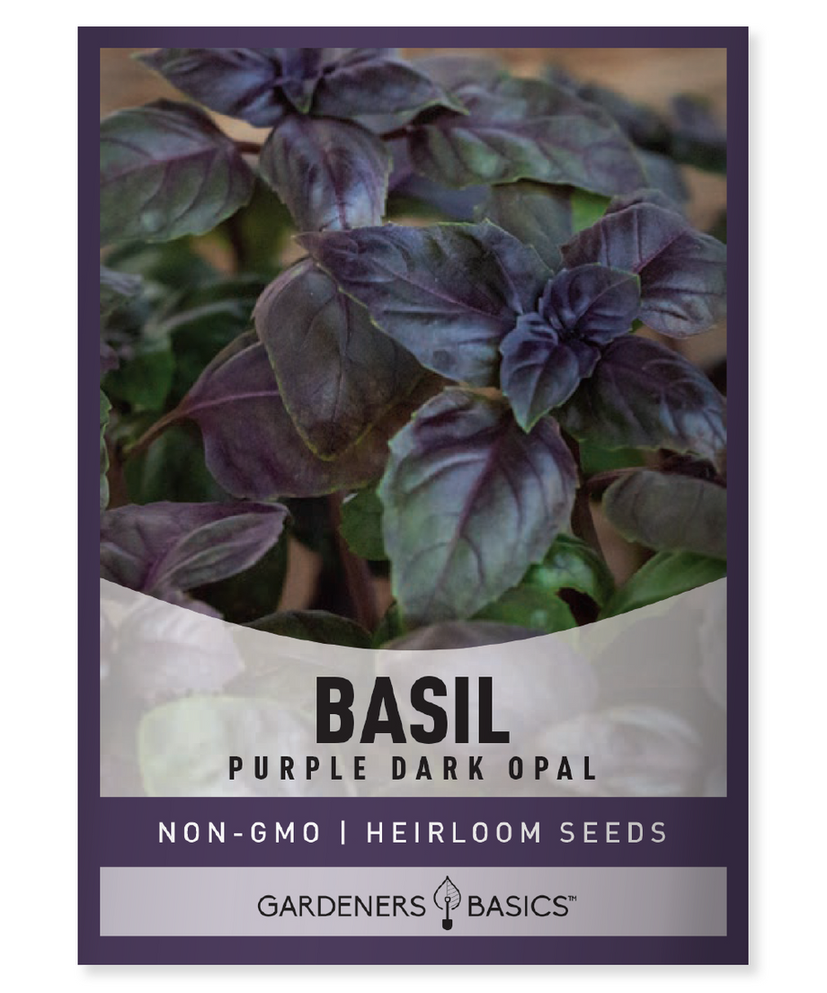 Dark Opal Basil Seeds Gardeners Basics