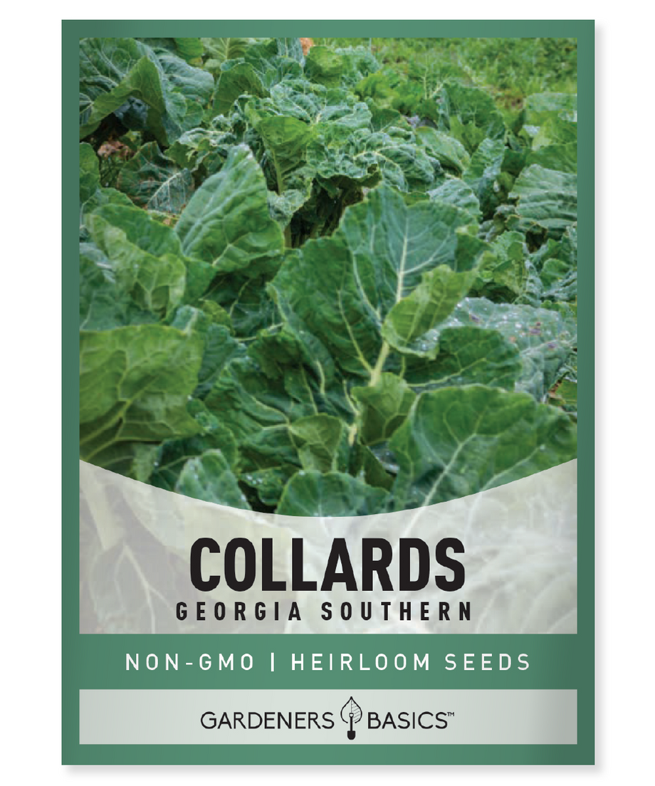 Organic Collard Greens