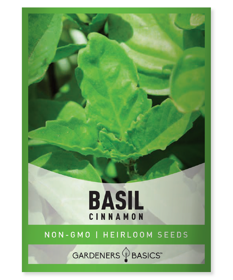 Cinnamon Basil Seeds Gardeners Basics