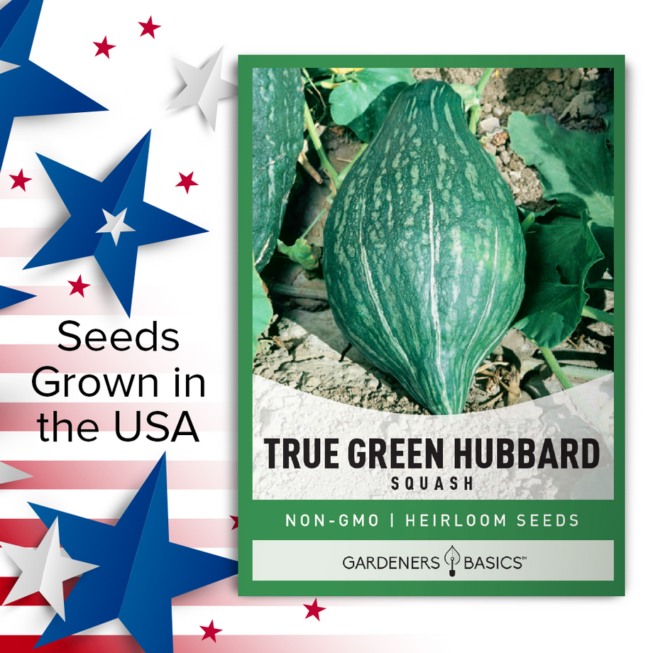 Todd's Seeds - True Water Cress Seeds for Fresh and Flavorful Greens