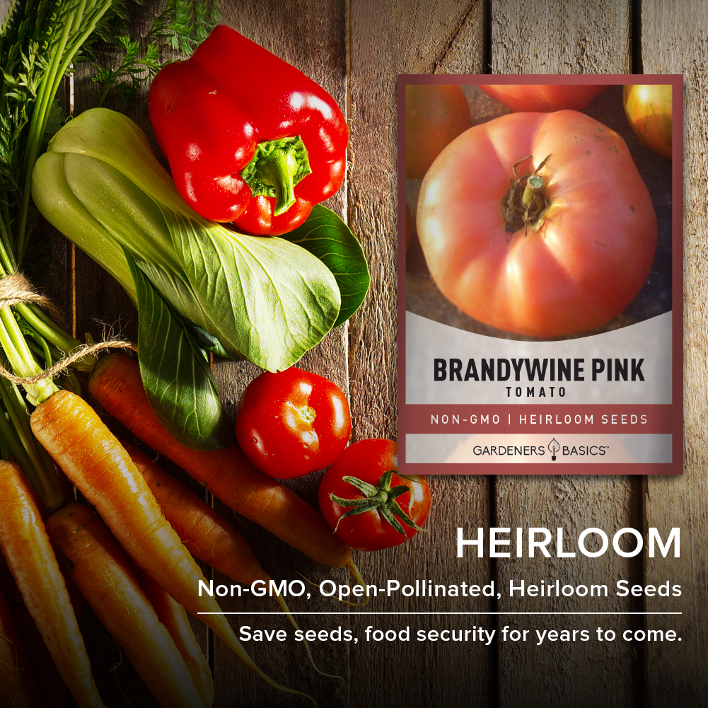 Tomato Seeds, Pink Brandywine, Pink Tomatoes, Heirloom Non-Gmo Tomatoes,  100ct