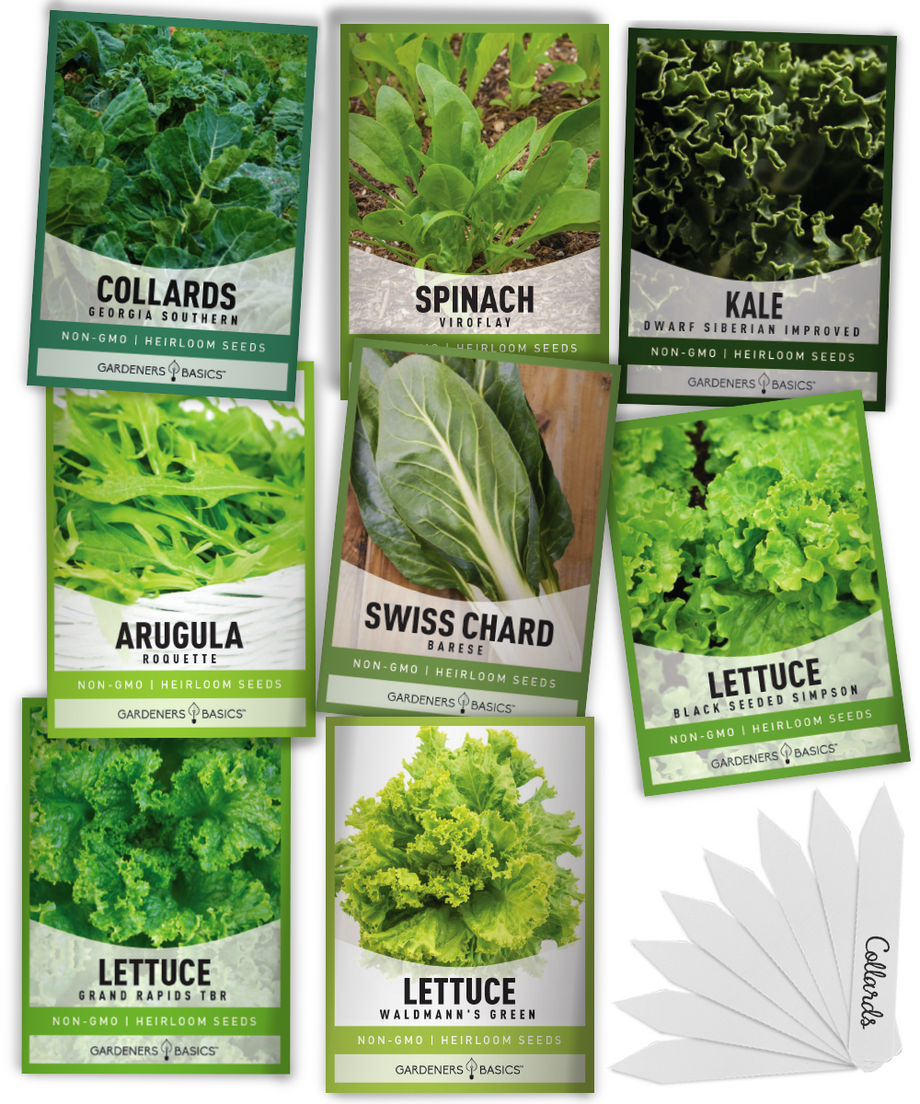 Greens Mix Seeds - Organic Varieties