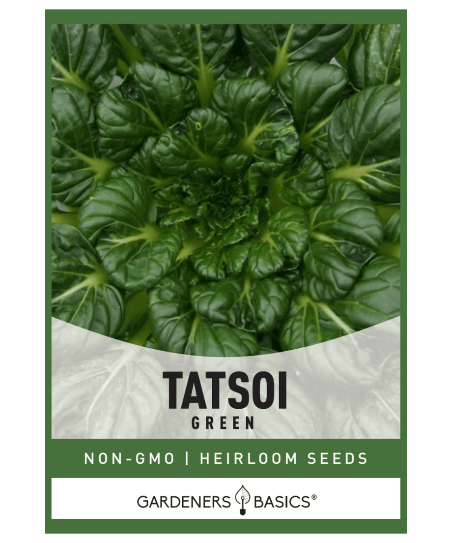 Vegetables Heirloom Seeds, Organically grown seeds, Non - GMO  Vegetables Heirloom  Seeds, Organically grown seeds, Non - GMO seeds
