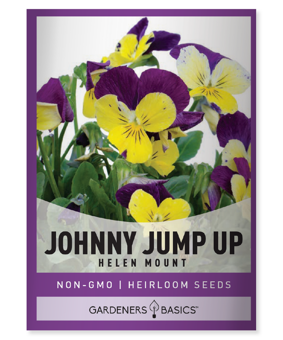 Helen Mount Johnny Jump Up Flower Seed for Planting Easy-to-Grow 