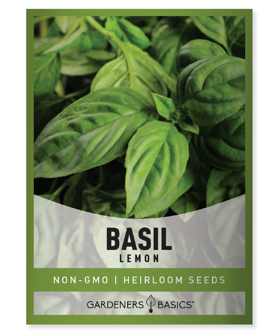 Lemon Basil Seeds Gardeners Basics