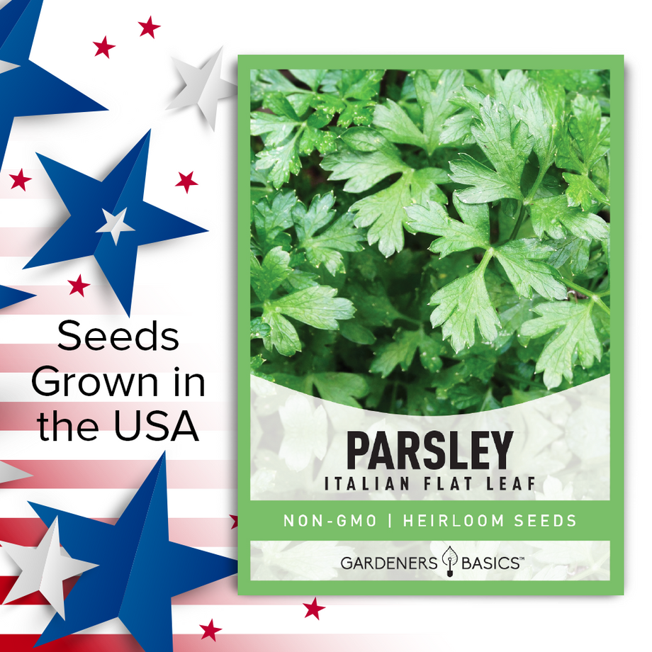 parsley seeds