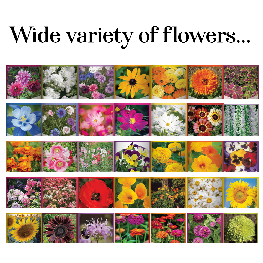 85,000 Wildflower Seeds, 35 Varietiey Wild Flowers Bulk Flower Seeds, Mix  of Annual and Perennial Bulk Packet Seeds for Planting, Perennial Wild