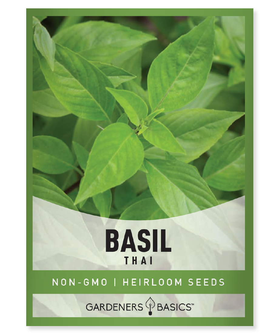 Thai Basil Seeds Gardeners Basics