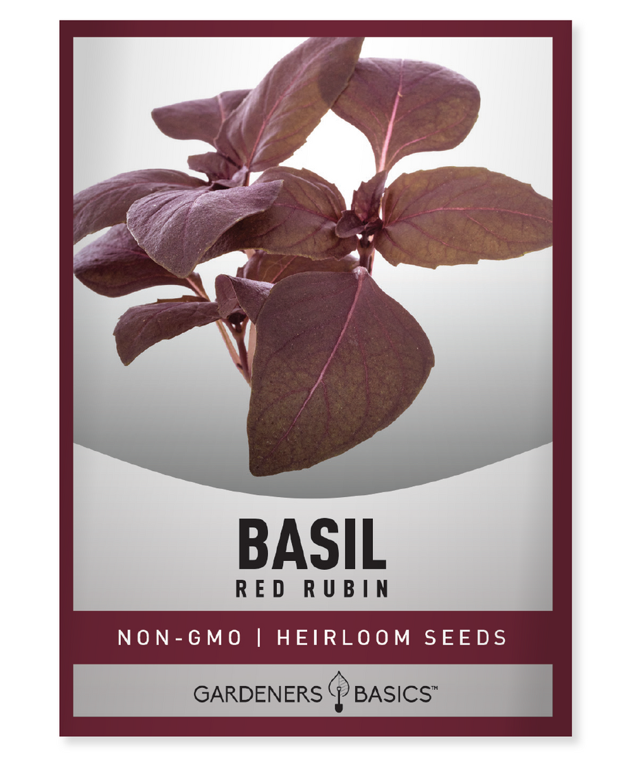 Red Rubin Basil Seeds Gardeners Basics