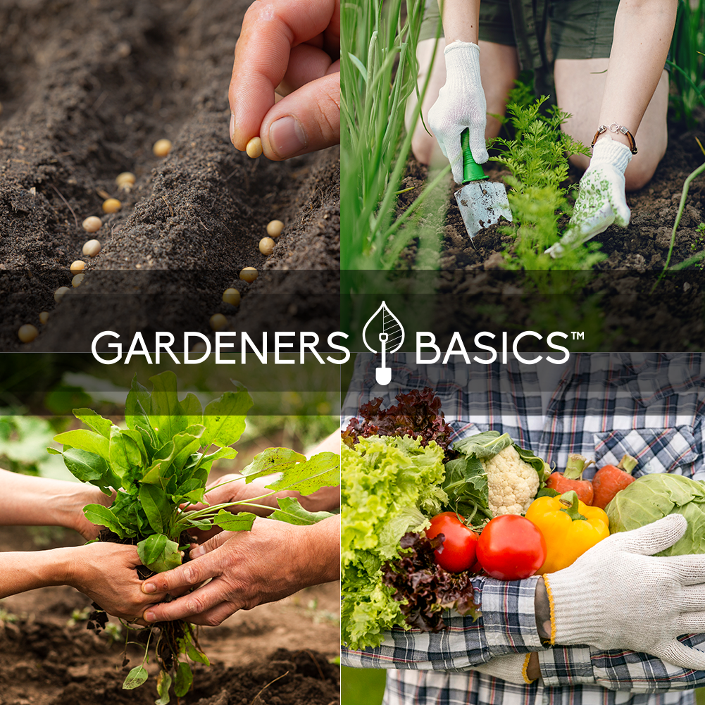 Gardeners Basics, Survival Garden Heirloom Seeds, Victory Garden Seeds - 35 Varieties, 17,000+ Vegetable and Fruit Seeds for Planting Great