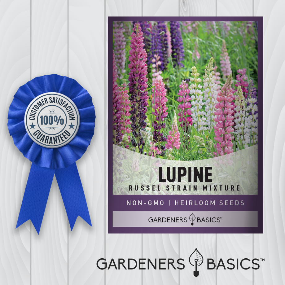 Lupine guarantee hotsell