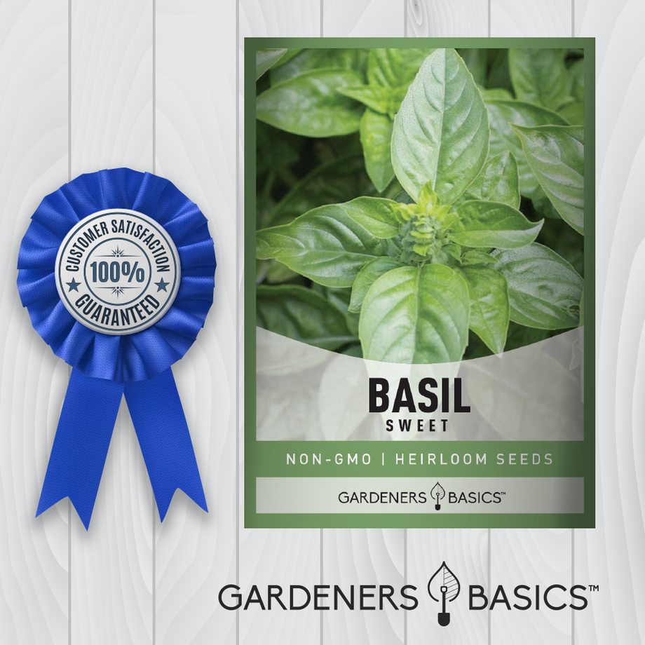 Sweet Basil Seeds Gardeners Basics