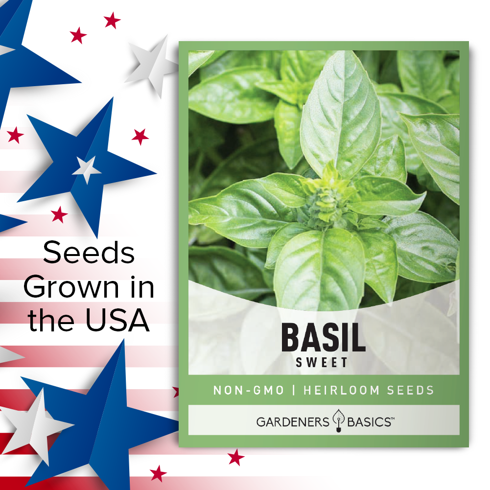 Sweet Basil Seeds Gardeners Basics