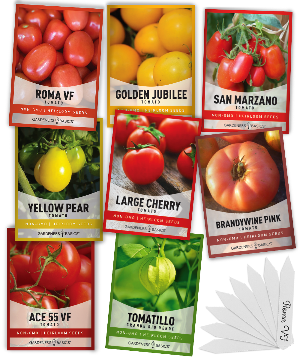 Brandywine Tomato Seeds - Natural Seed Bank