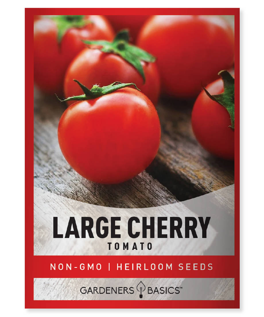 Large Cherry Tomato Seeds