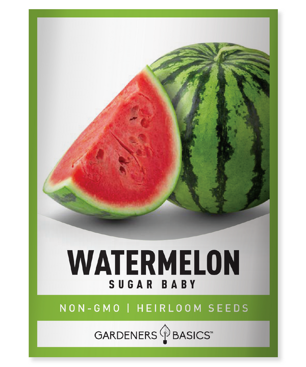 What is a Sugar Baby Watermelon: A Comprehensive Guide – Gardeners Basics