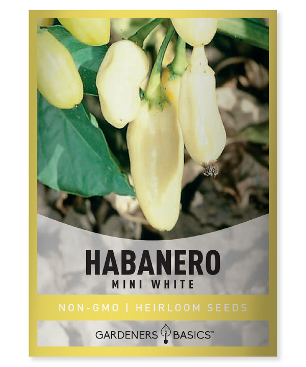 Habanero Peppers (The Ultimate Guide)