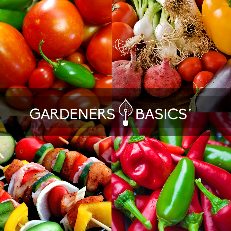 https://www.gardenersbasics.com/cdn/shop/products/hot-salsa-collage-1001x1001_1_460x@2x.png?v=1624550437