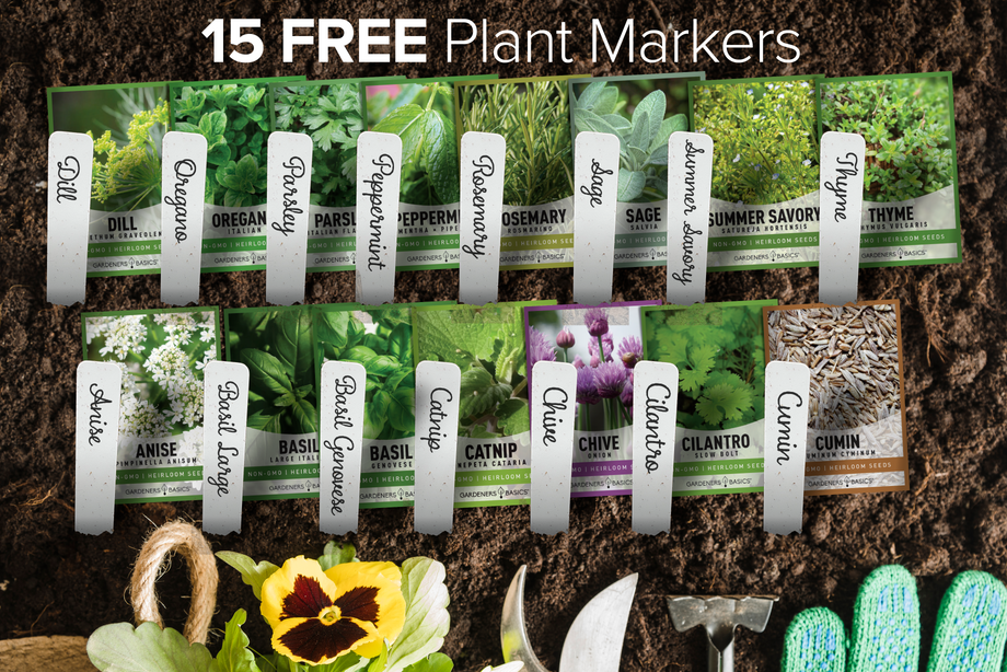 15 Pack Heirloom Seed Assortment  Non-GMO Vegetable Garden Seeds