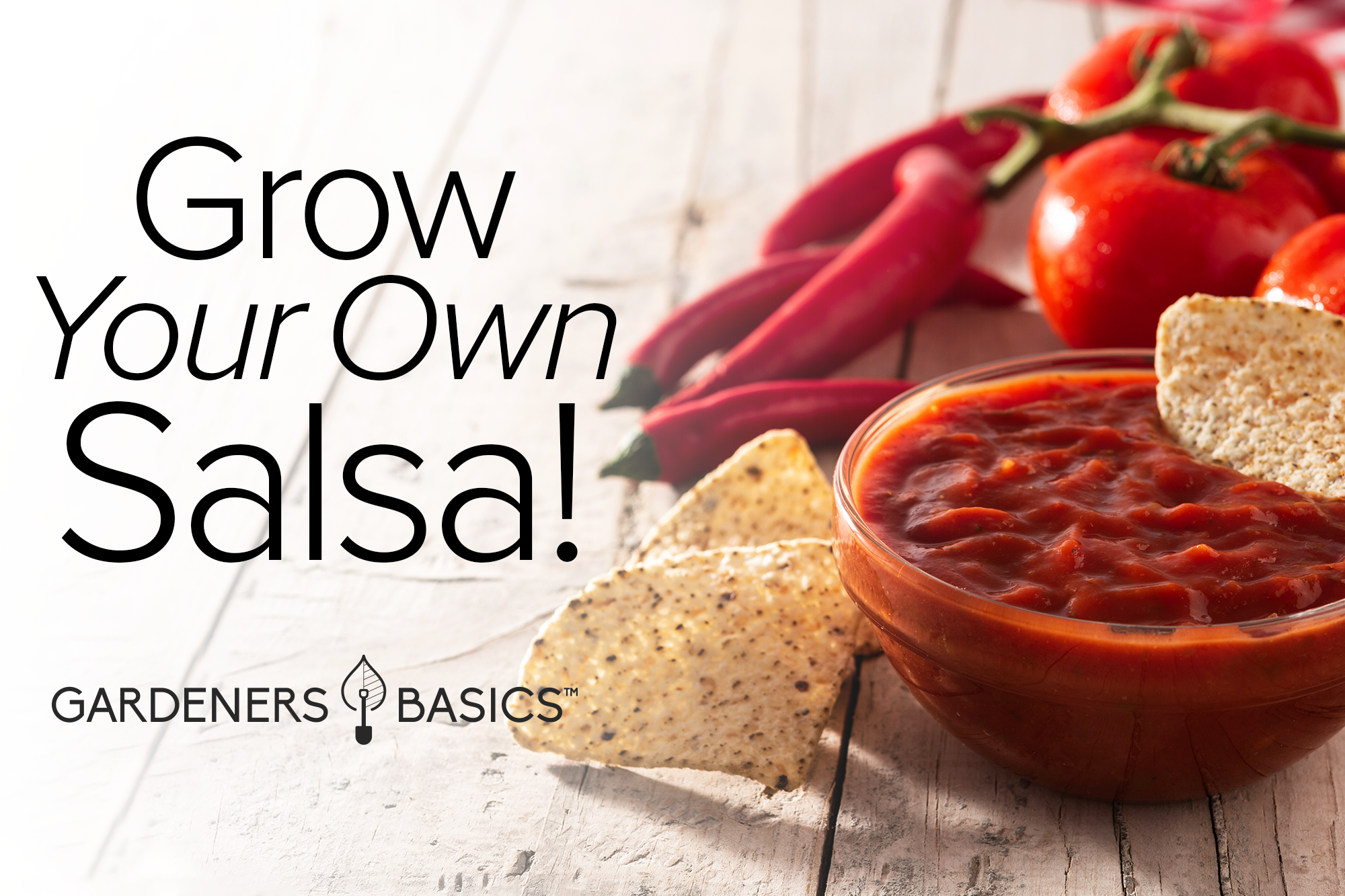 Mexican Salsa Vegetable Garden Starter Kit - Non-GMO Salsa Seeds